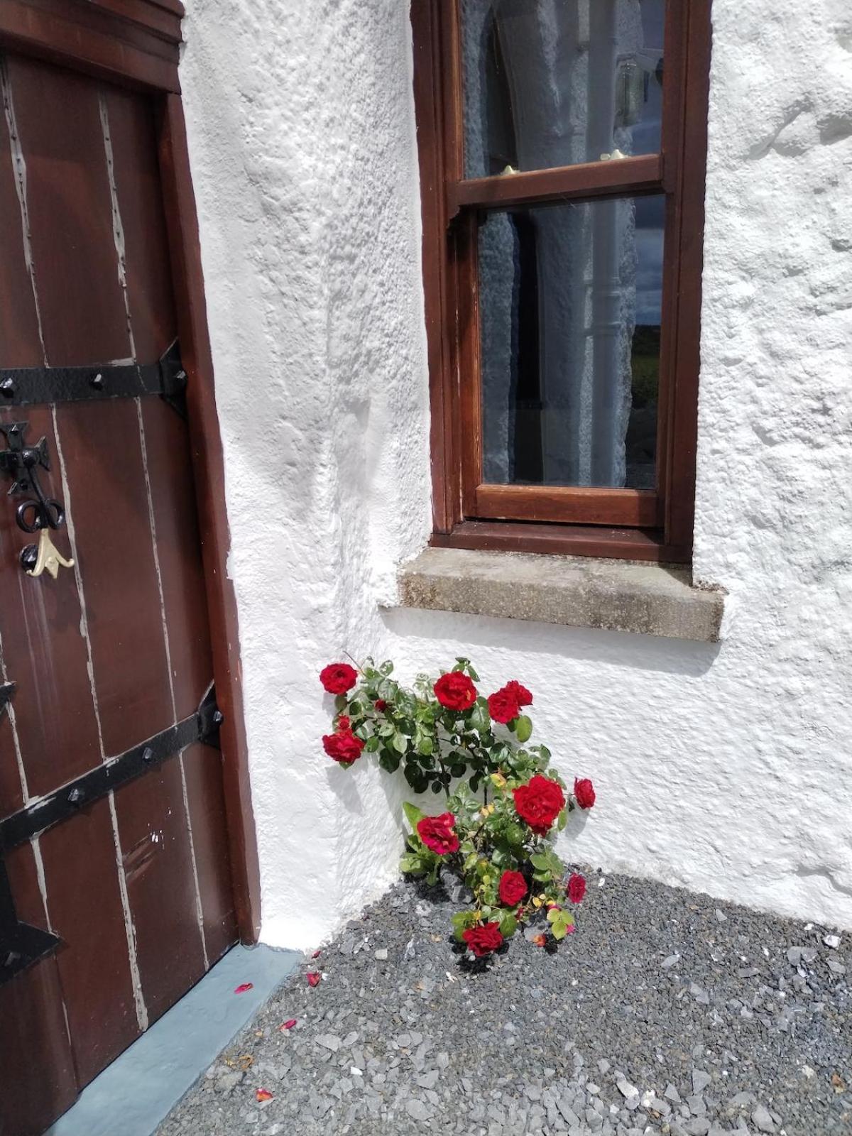 The Burren Art Gallery Built In 1798 Villa Tubber Exterior photo